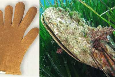 L'antica lavorazione del bisso: la "seta di mare" ricavata da un mollusco in via di estinzione 